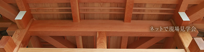 �l�b�g�Ō��ꌩ�w��