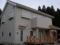 ��������n��